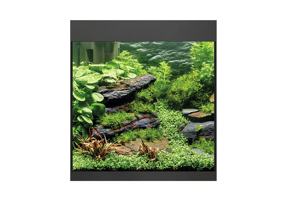 Oase StyleLine Modell 85 Aquarium schwarz