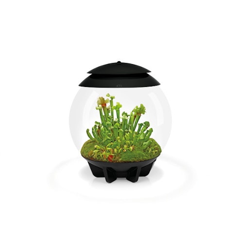 BiOrb Terrarium AIR 30