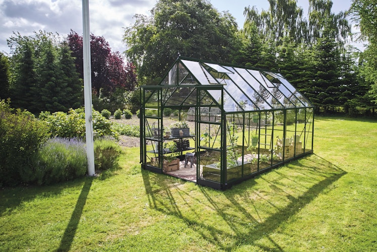 Halls Gewächshaus Icon 8 - 8,1 m² / 9,7 m² / 11,2 m²