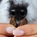 Vorschaubild Tierliebhaber Chillout Drops