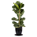 Vorschaubild Restberry´s Filz Untersetzer