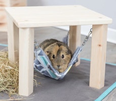 TRIXIE Unterstand mit Hängematte Sunny, 37 × 29 × 37 cm, bunt/grau