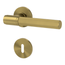 Vorschaubild Griffwerk VAYA 136 ARIS fast2fix Fast2Fix Rosetten rund Buntbart Gold matt