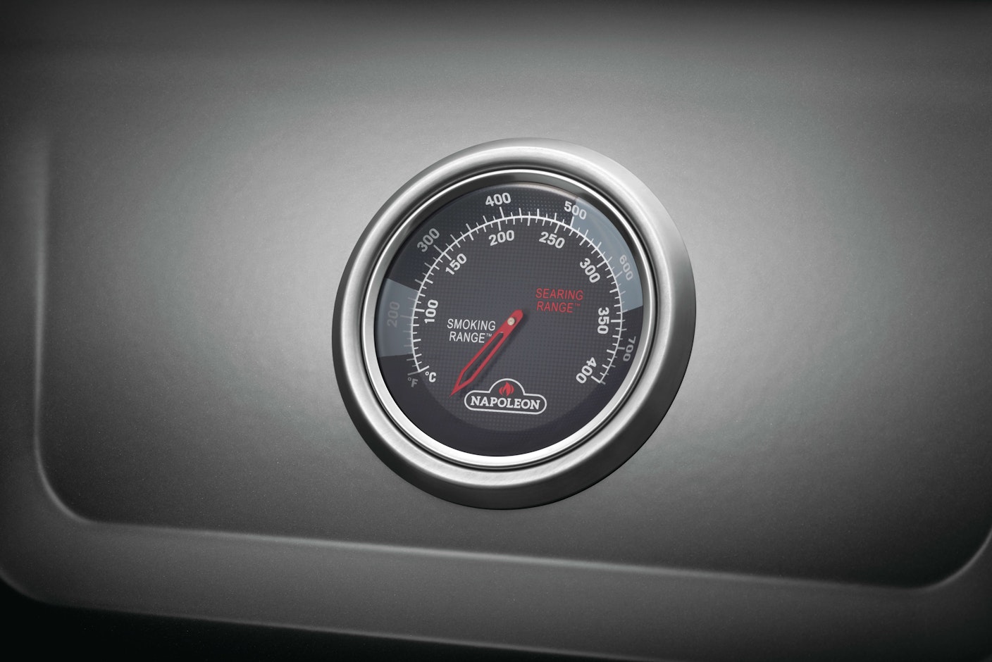 napoleon_F365PGT_DE_thermometer