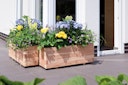Vorschaubild TraumGarten Einsatz für Wandpflanzkasten