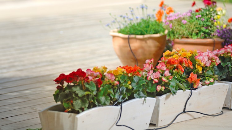 Vitavia Bewässerungsset / Bewässerungssystem CDK12 / MGS48 (für Gewächshäuser bis 8 m²)