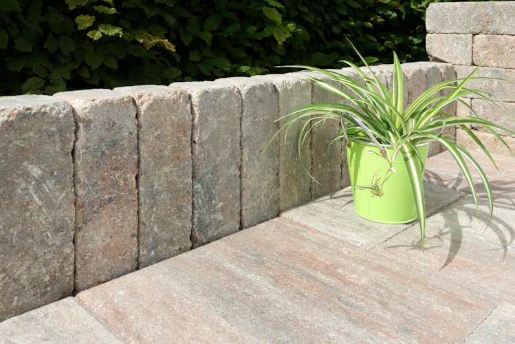 Diephaus Mauerstein ANTIK GEK. PICO MUSCHELKALK 30/10/10 CM