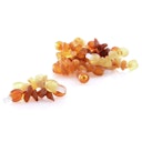 Vorschaubild Larsson Bernsteinketten für Hunde und Katzen Zeckenschutz