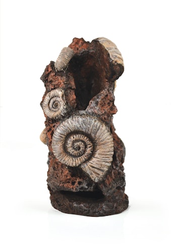 biOrb Muschelbaumstumpf Ornament