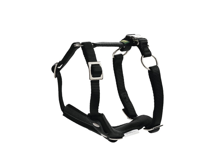 HUNTER Easy Comfort schwarz Hundegeschirr