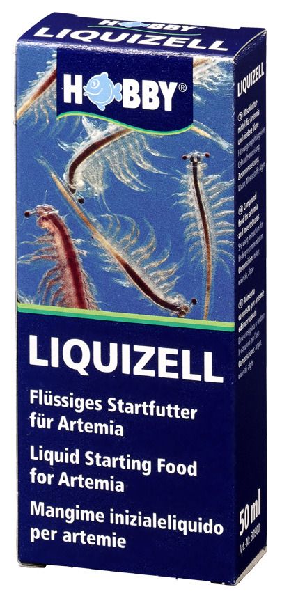 KÖMPF24