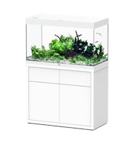 aquatlantis Sublime 245 100x50x60 Zentimeter Aquarium mit Unterschrank
