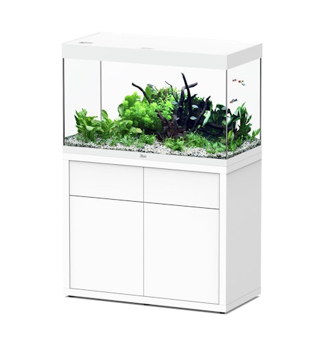 aquatlantis Sublime 245 100x50x60 Zentimeter Aquarium mit Unterschrank
