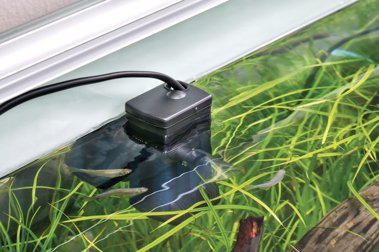 EDEN FIN 25 Innenfilter