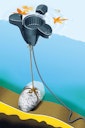 Heissner schwimmender Oberflächenreiniger (F540-00)