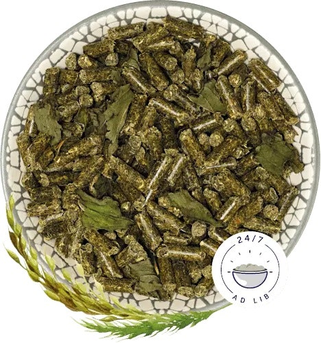 Bunny MeerschweinchenTraum basic Kleintierfutter