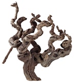 HOBBY Weinreben Wurzel AquarieneinrichtungZubehörbild