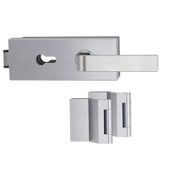 Griffwerk PURISTO S -Edelstahl matt Ganzglastürbeschlagset -3-teiliger Bandsatz -mit Griff DESM GRAPH -SG -PZ