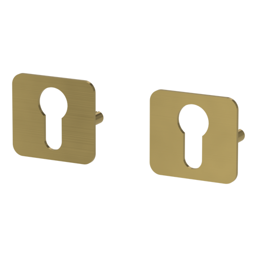 Griffwerk Schlüsselrosettenpaar ONE abgerundet Profilzylinder Flachrosette Gold matt