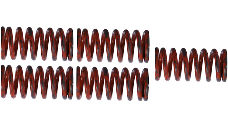 TRW Kupplungsfedernsatz MEF317-5