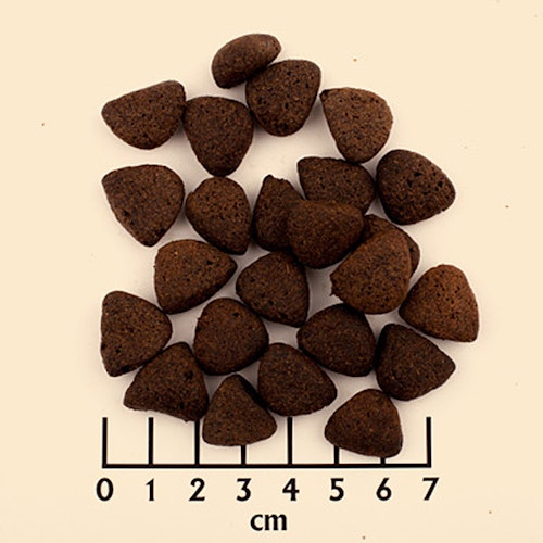 WOLFSBLUT Wide Plain Large Breed Pferdefleisch mit Süßkartoffeln Hundetrockenfutter