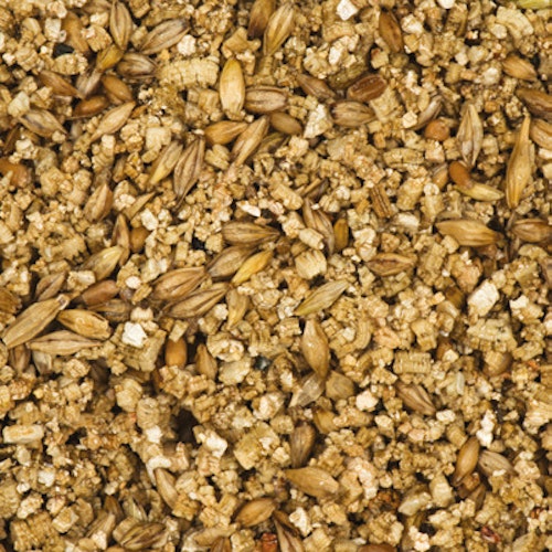 catit Senses 2.0 Grassamen-Kit 3er Katzenspielzeug