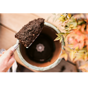 Vorschaubild Restberry´s Plantpads