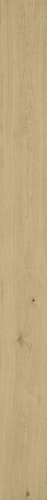 MEISTER Holzboden Natureflex HD 100 2200 x 210 x 8 mm 20015 Eiche lebhaft creme gebürstet ultramattlackiert