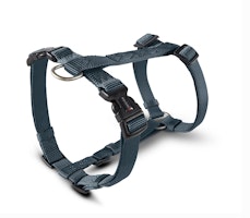 Wolters Professional graphit Hundegeschirr