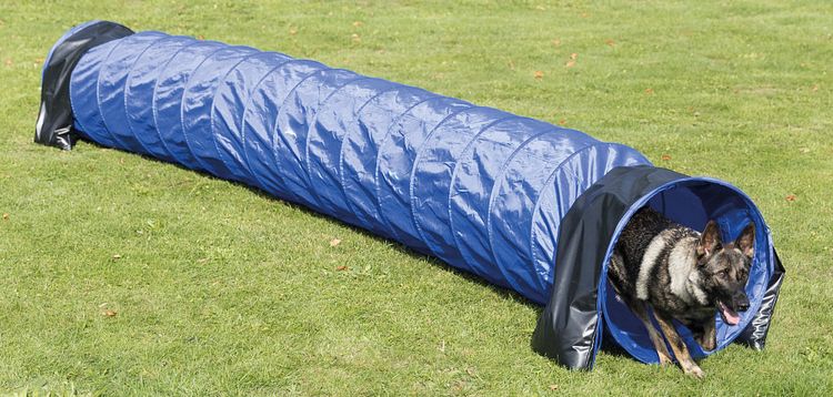 TRIXIE Fun Agility Basic Tunnel, ø 60 cm/5 m, blau