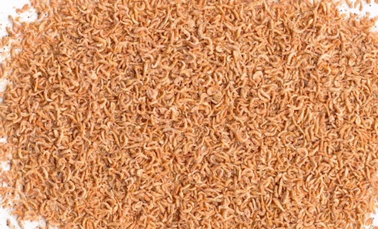 Tetra Delica Krill 100ml