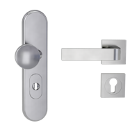 Griffwerk TITANO Kombi SB_882 ES1 (S2) -Edelstahl matt Kombi-Schutzbeschlag -Knopf/Drücker -mit Griff DESM GRAPH -SG -eckig -L -ZA, 72mm -TS 38-50