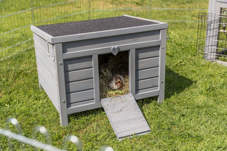 Kleintierhaus, 60 × 47 × 50 cm, grau