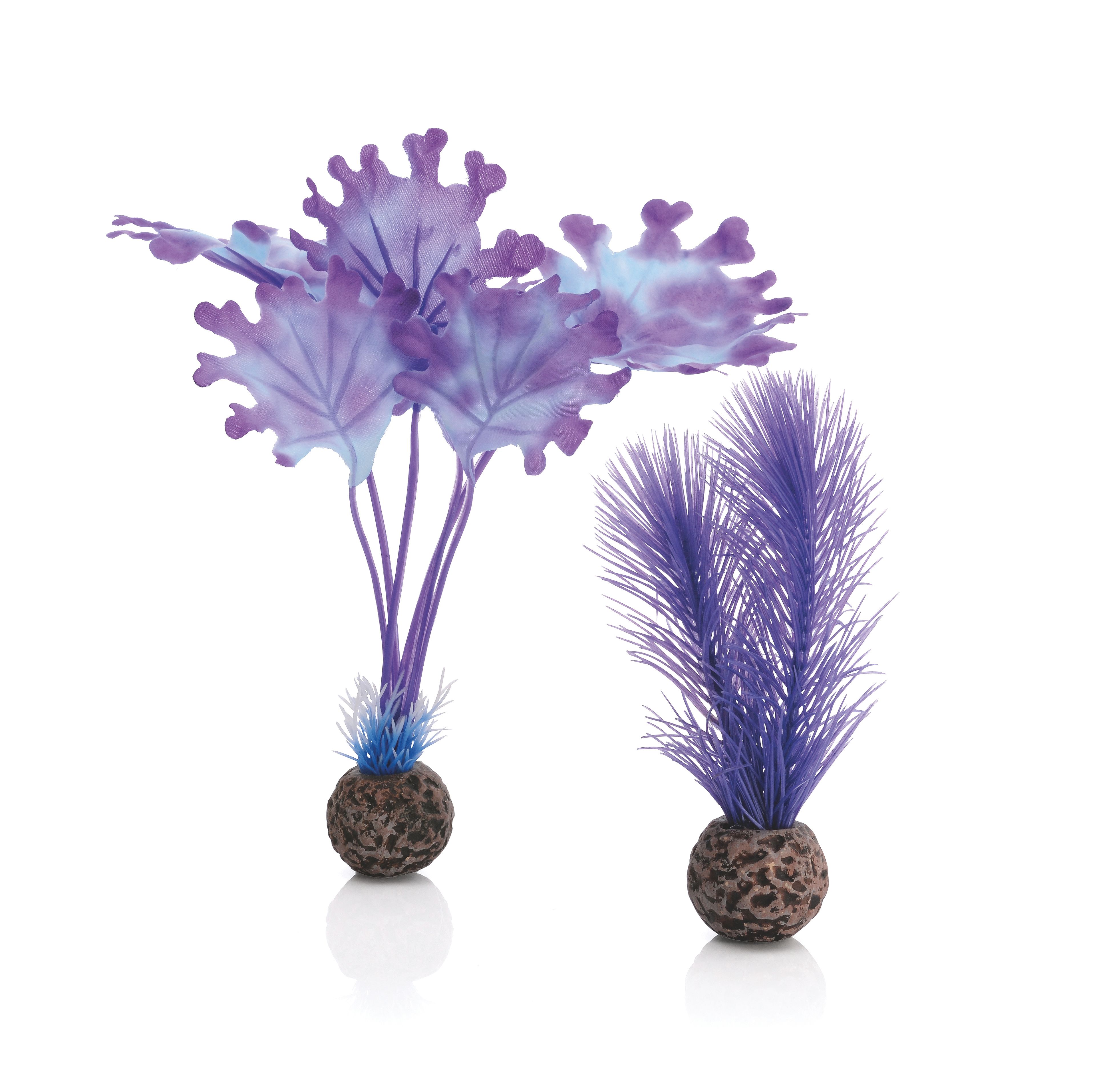 biOrb Seetang Set klein lila (46079)