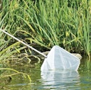 Teichkescher "POND NET 25" (TZ331-00)