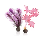 biOrb Seetang Set klein pink (46081)Zubehörbild