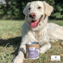 Vorschaubild Paws&Patch MSM PULVER 250g