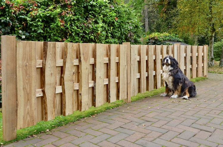 T&J JÜTLAND Sichtschutzzaun Lärche 180 x 90 cm