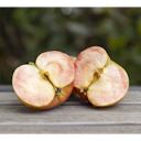 Vorschaubild Säulenapfel Elmira Säule