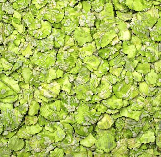 JR FARM Erbsenflocken Kleintiersnack