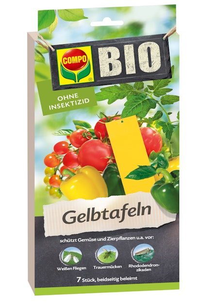 monstera künstliche pflanze Künstliche Pflanze Monstera Deliciosa