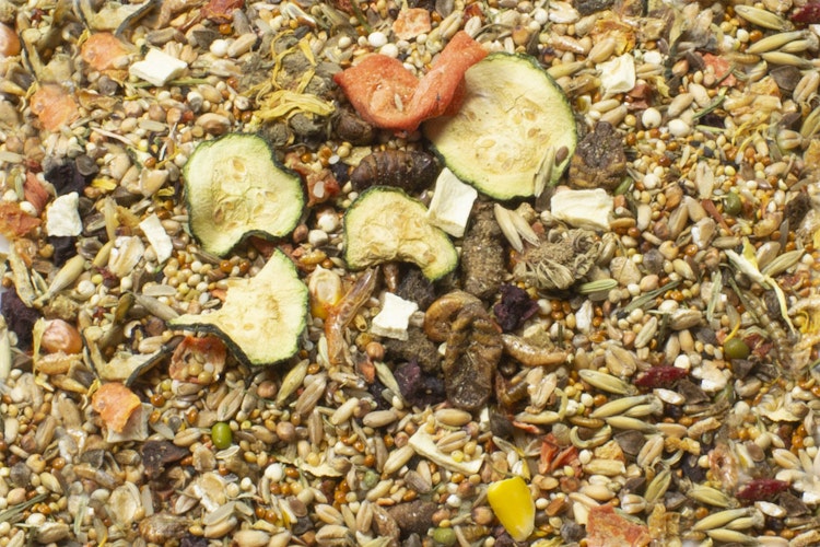 JR FARM Farm Food Rennmaus 500g Kleintierfutter