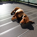 UPM ProFi Terrassendiele Design Deck-Steingrau