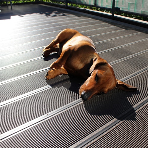 UPM ProFi Terrassendiele Design Deck-Steingrau