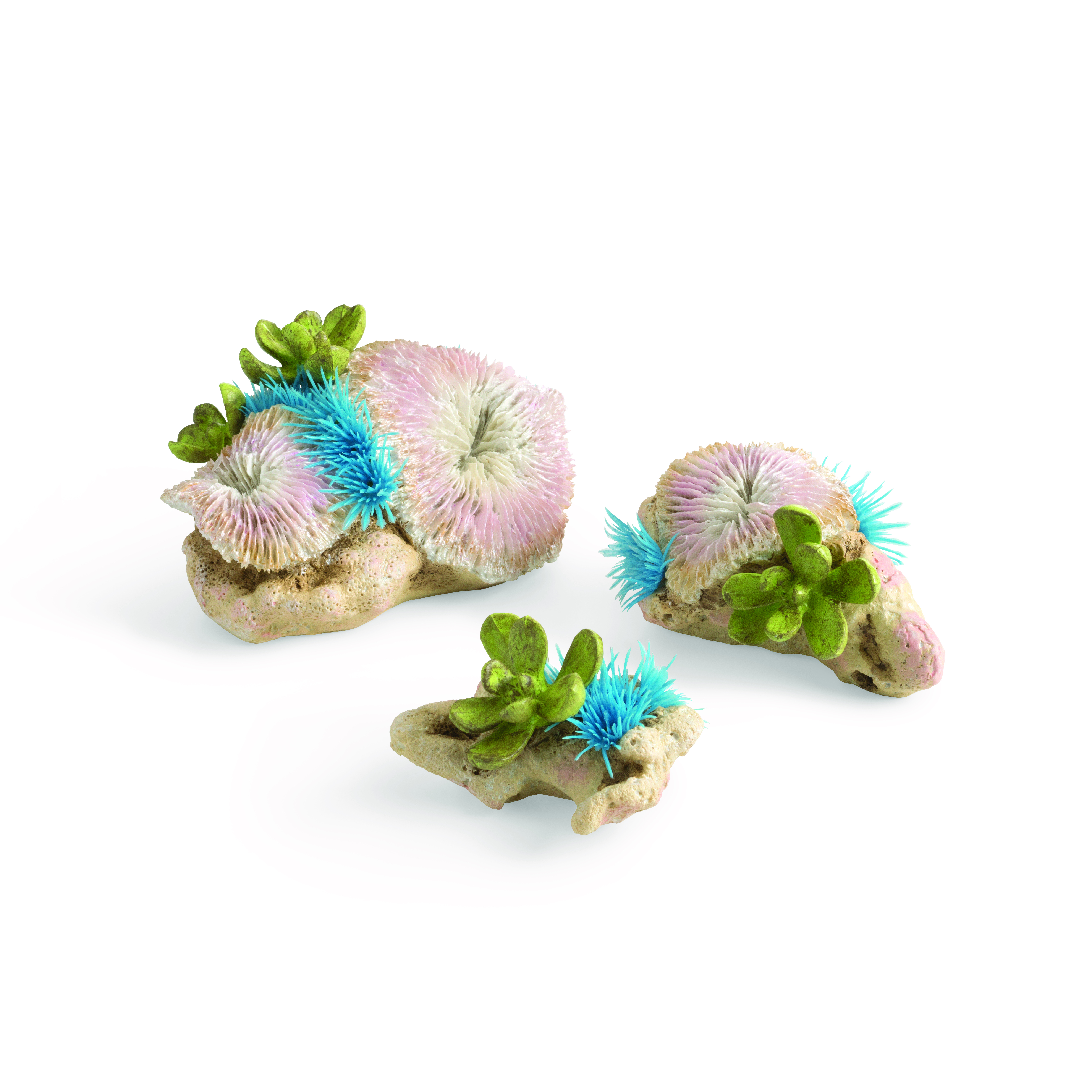 biOrb Plattenkorallen & Knopfpolypen Set