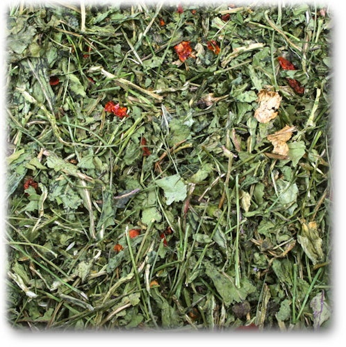 JR FARM Rucola & Tomate 100g Raufutter für Kleintiere