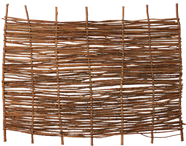 T&J PABLO Haselnusszaun