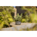 Vorschaubild Plant Pot Aatami schwarz antik