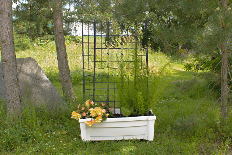 KHW Calypso Pflanzkasten auf Rollen mit Bewässerungssystem + modularem Spalier