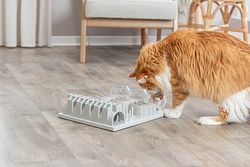 TRIXIE Cat Activity Fun Board XXL, 30 × 40 cm